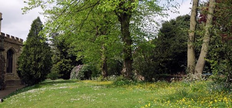 All Saints in the Spring